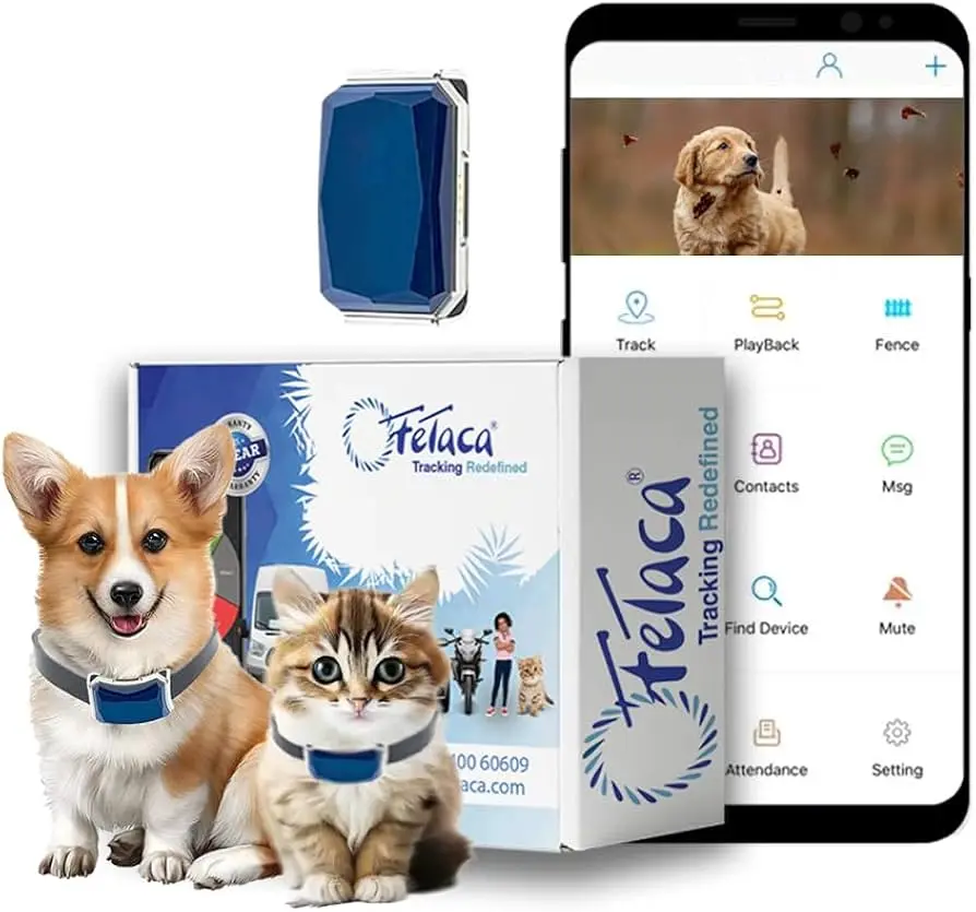 Guía Completa: Rastreadores GPS para Caniches - Hasta dónde puede un rastreador de perros rastrear a un perro caniche usando rastreador gps - Hasta dónde puede un rastreador de perros rastrear a un perro