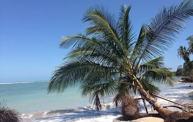 best gps for costa rica - Is Google Maps accurate in Costa Rica