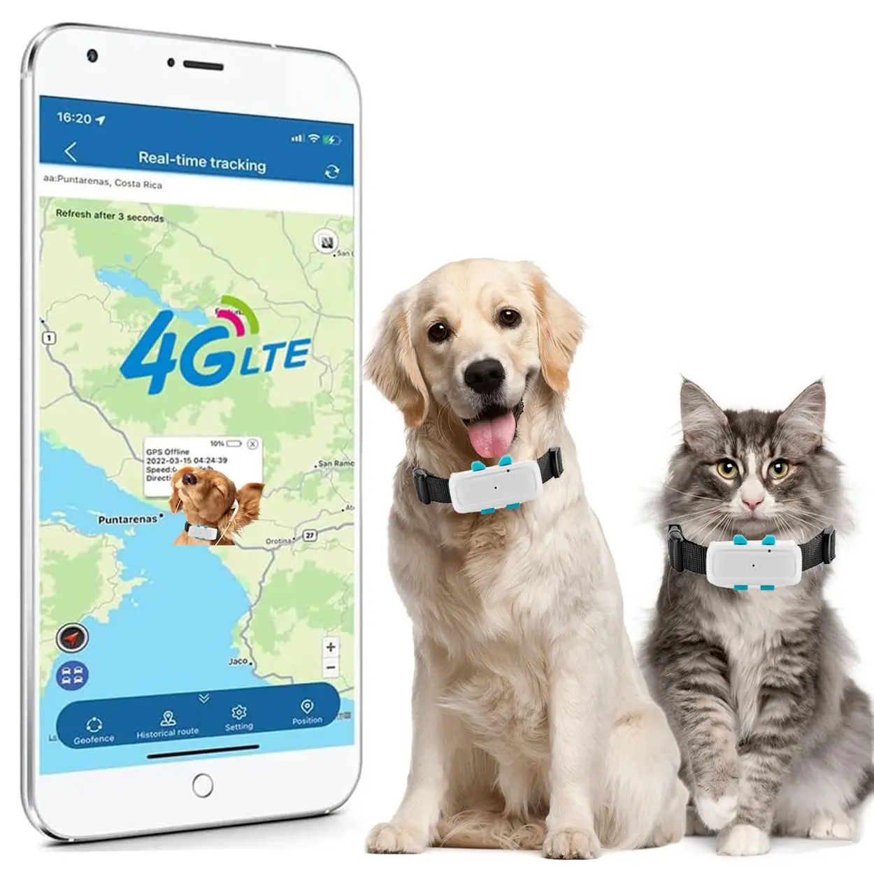 Guía Completa: Rastreadores GPS para Caniches - Se le puede poner un rastreador GPS a un perro caniche usando rastreador gps - Se le puede poner un rastreador GPS a un perro